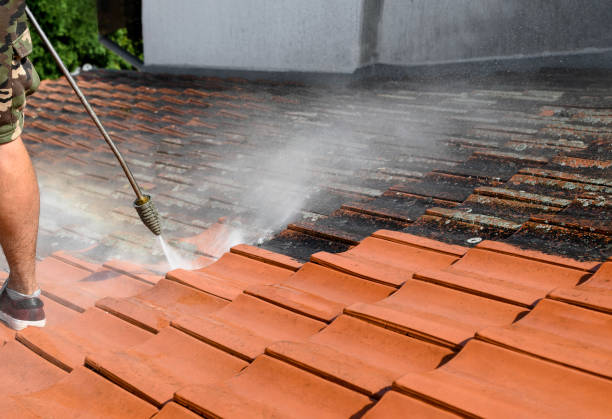 Best Pressure Washing Near Me  in Centrevle, IL