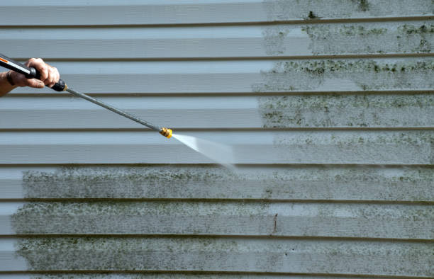 Best Sidewalk Pressure Washing  in Centrevle, IL