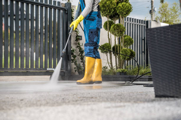 Best Roof Pressure Washing  in Centrevle, IL