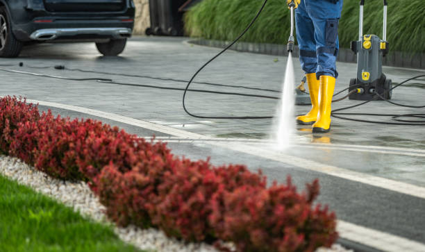 Best Pressure Washing Near Me  in Centrevle, IL