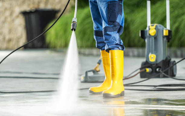 Best Pressure Washing Company Near Me  in Centrevle, IL