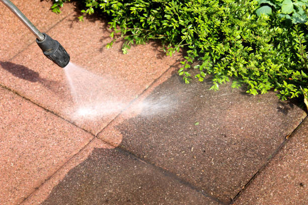 Best Pressure Washing Company Near Me  in Centrevle, IL