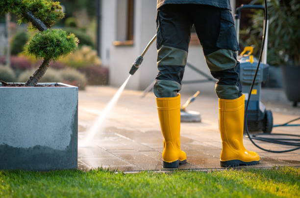 Best Local Pressure Washing Services  in Centrevle, IL